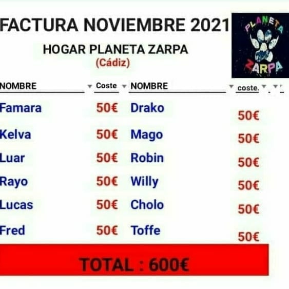 planetazarpa's tweet photo. Feliz día de la suerte familia!!
Gracias a @7quela,#MariaJG y a #MariaDLoren pegamos empujón a la factura.
Nos faltan 408€ ,nos ayudáis a liquidarla 🙏🙏🐾
Todo suma,1€,2€ ,todo ayuda
@bellido_soledad @Beatriz55133330 @bustos_jana @QuinBerYun @suvozesnuestra @EloytxoMankito https://t.co/v9SyVZRTne