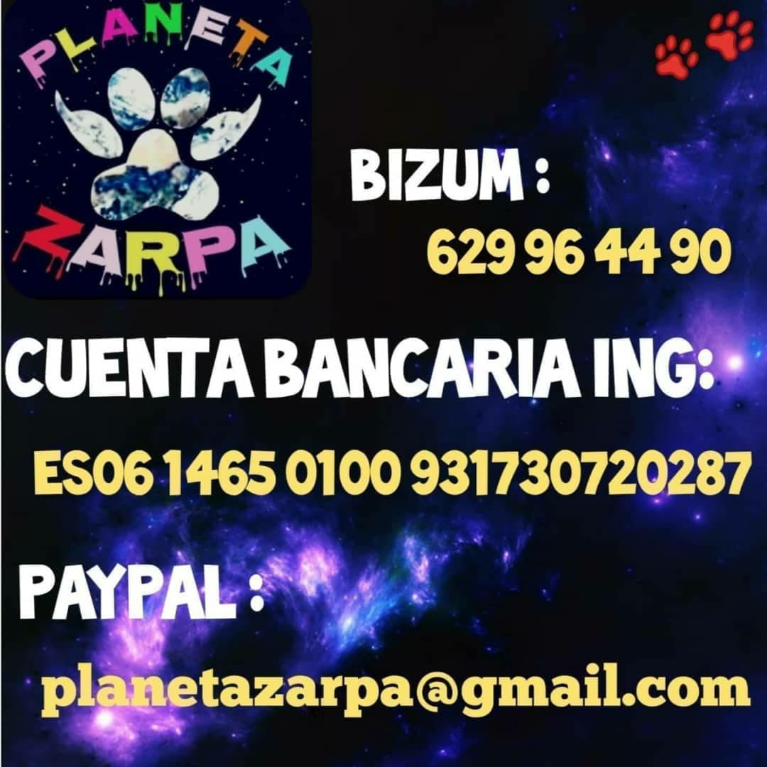 planetazarpa's tweet photo. Feliz día de la suerte familia!!
Gracias a @7quela,#MariaJG y a #MariaDLoren pegamos empujón a la factura.
Nos faltan 408€ ,nos ayudáis a liquidarla 🙏🙏🐾
Todo suma,1€,2€ ,todo ayuda
@bellido_soledad @Beatriz55133330 @bustos_jana @QuinBerYun @suvozesnuestra @EloytxoMankito https://t.co/v9SyVZRTne