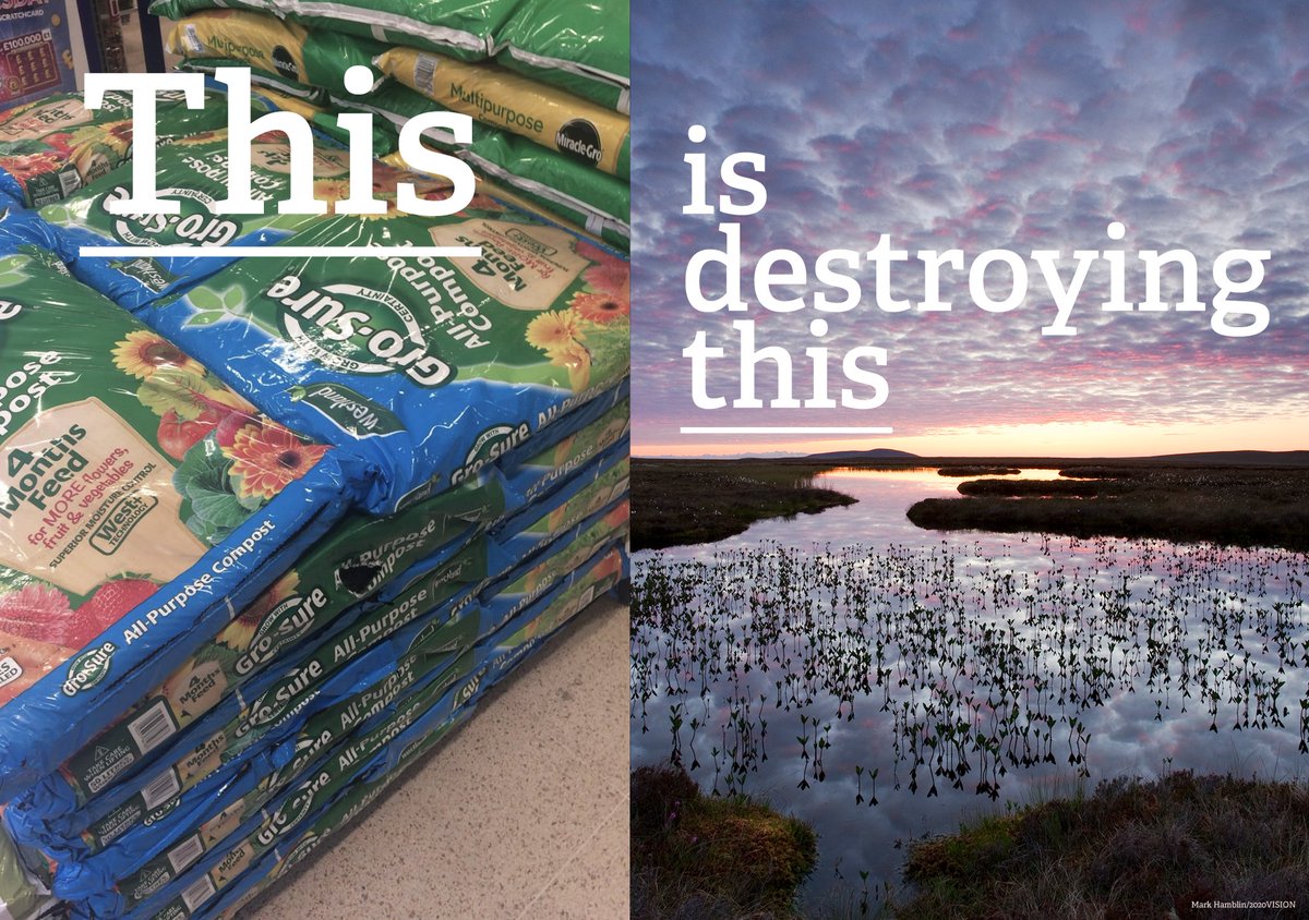 📢 Support the #peatfree movement this #wildlifewednesday
Sign our petition to stop peat being sold in shops and garden centres:
wtru.st/ban-peat-sales…