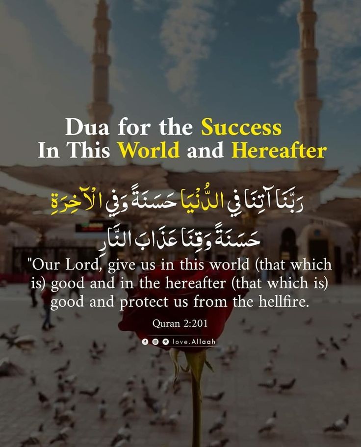kh33585159's tweet image. #dua #SuccessVibes #world
