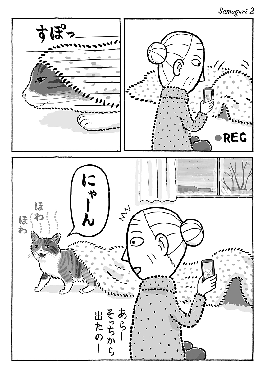 2ページ猫漫画「寒がり菊ちゃん」 #猫の菊ちゃん 