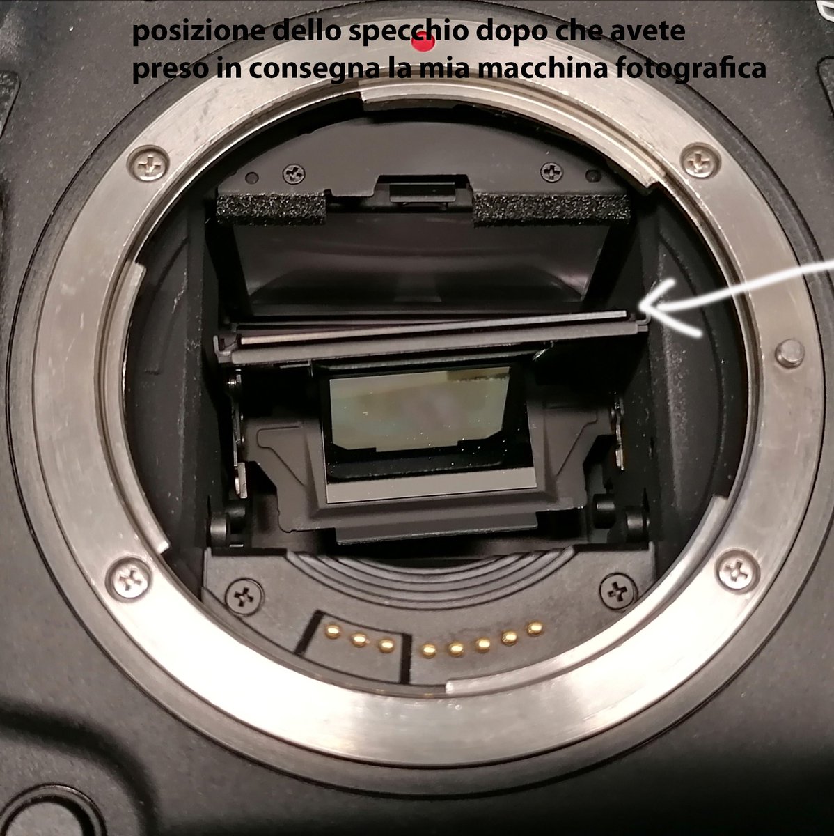 SimonPalfrader's tweet photo. Servizio professionale di #canonitaliaspa #canonitalia 
Evidentemente come cliente non valgo nulla. evidente forzatura…… pensate che un fotografo professionista dopo che ha sostituito otturatore e specchio, forzi l’ attrezzatura che serve per lavorare? semplicemente scandalosi. https://t.co/yVPgVIAb3l