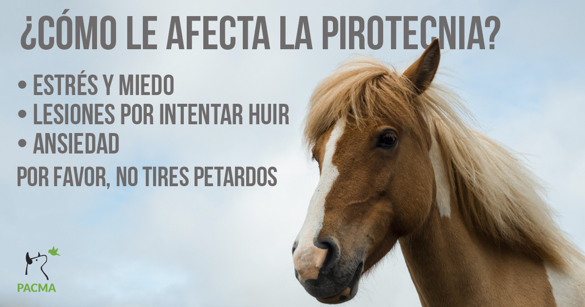 PACMA tweet media