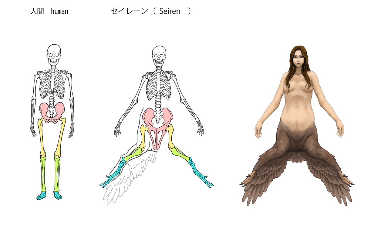 川崎悟司 ギリシャ神話の 下半身が鳥のセイレーン Seiren 下半身が鳥ですが 翼に爪と指がある羽毛恐竜の方にした T Co Zlp0orralc Twitter 川崎悟司 ギリシャ神話の 下半身が鳥のセイレーン Seiren 下半身が鳥ですが 翼に爪と指がある羽毛恐竜の方にした T Co Zlp0orralc Twitter