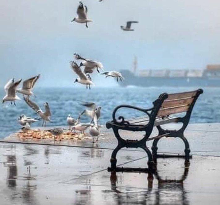 a26b6d7ea1f1446's tweet photo. صباح الخير لأولئك النائمين طويلاً الذين لم تعد الحياة كما كانت منذ أن رحلوا . https://t.co/Zmfy3huD8X