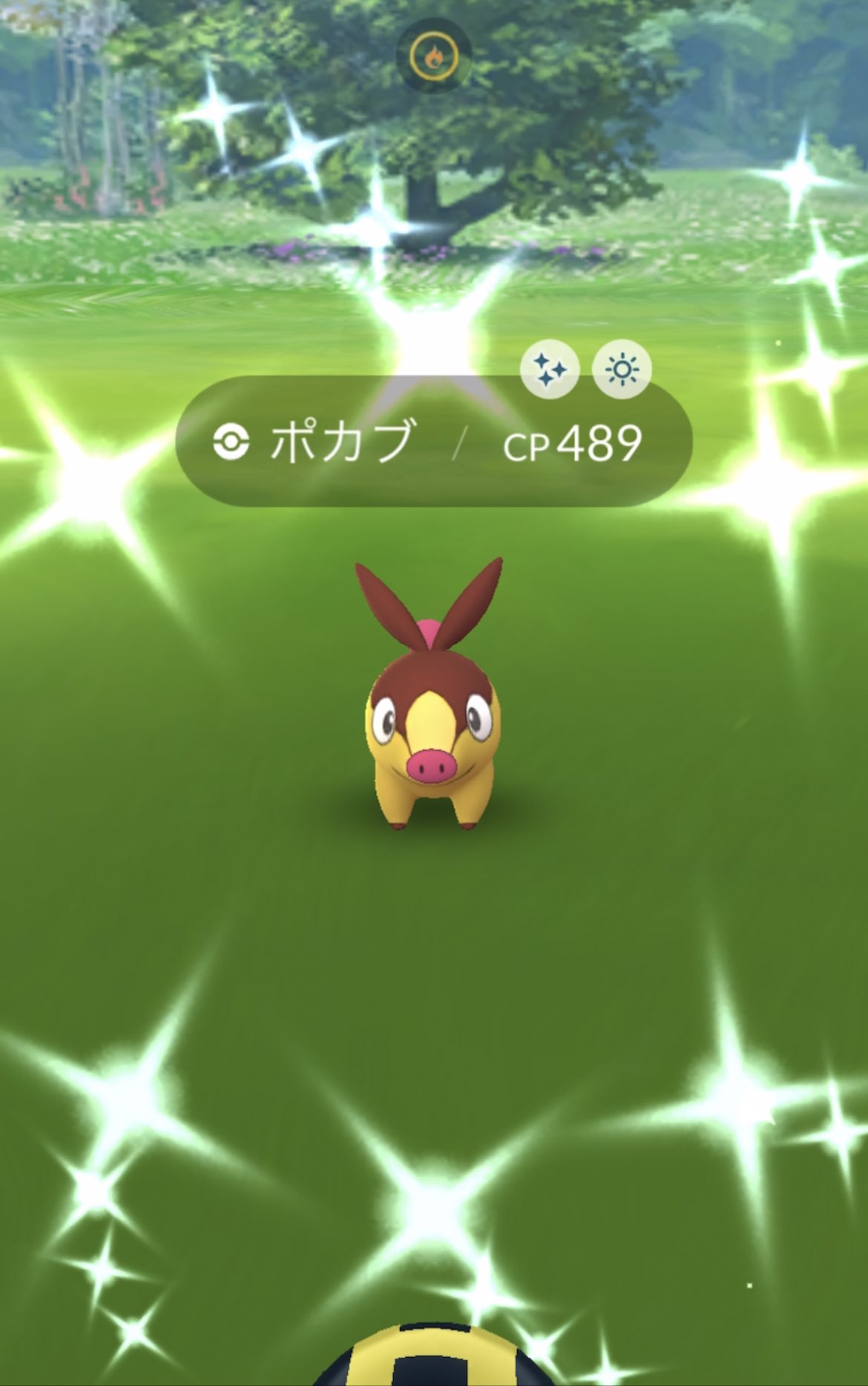 Mari Pokemon Go垢 Akakahi Twitter