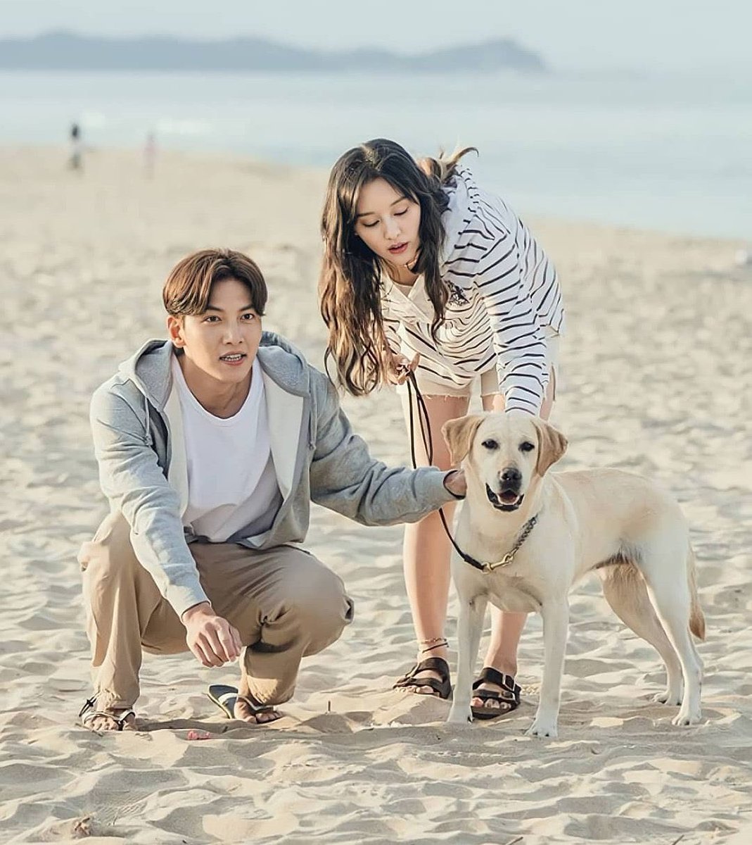 prasanth_ro45's tweet photo. Happy 1st anniversary to Lovestruck In The City drama! 💕

#happy1stanniversaryLITC
#jichangwook 
#KIMJIWON 
#lovestruckinthecity https://t.co/4IP4ko5evH