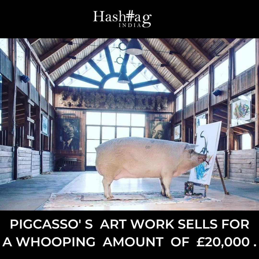 readHashtag's tweet photo. South Africa's Pig painter's artwork has been sold for a whooping amount of ยฃ20,000.
Pigcasso broke the previous animal painting record of ยฃ14,400 that was set in 2005 by a chimp artist.
#pigart #pigcasso #artist #southafrica #readhashtag https://t.co/rv9OXKK3Iu
