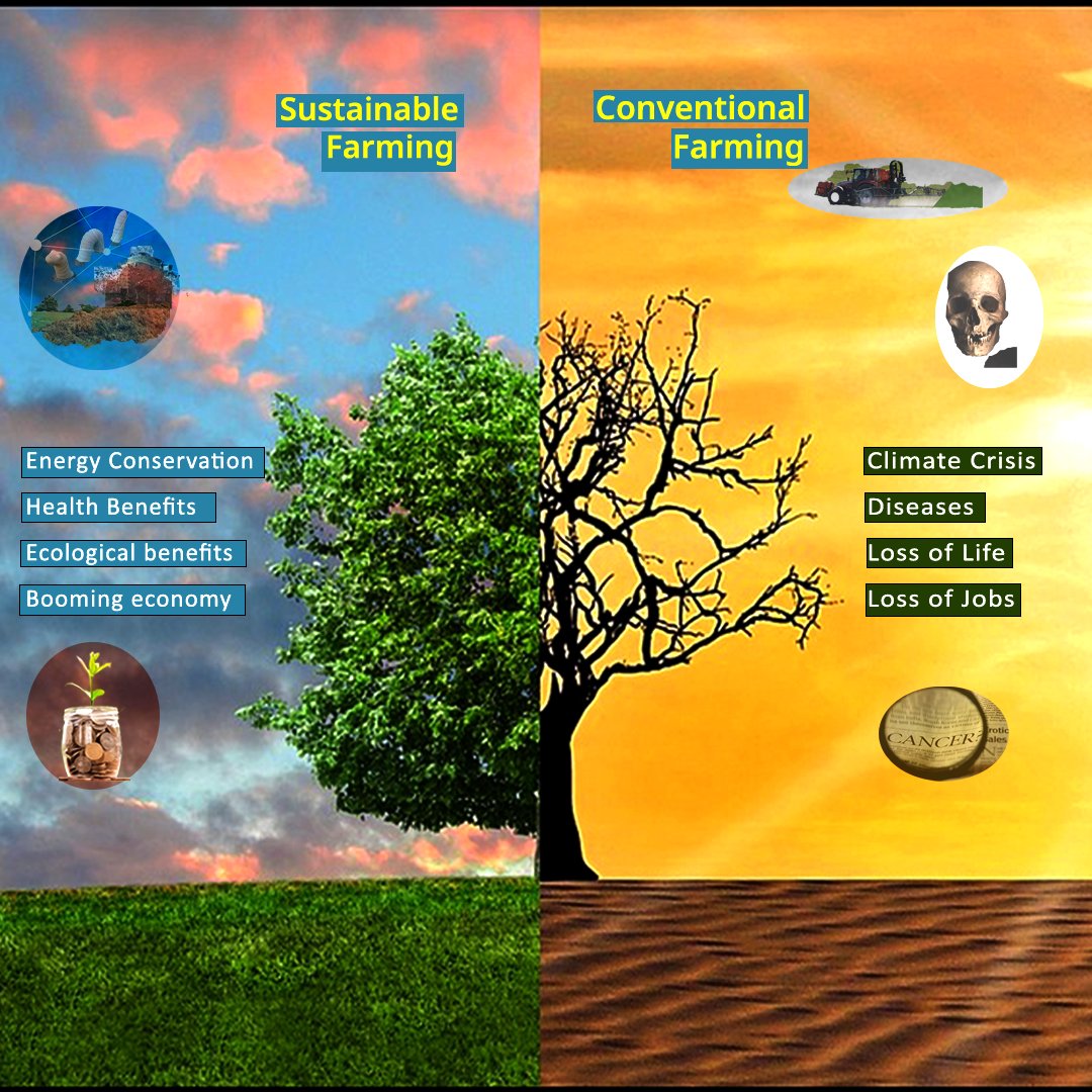 EKIEnergyEnking's tweet photo. Contact our #NatureExperts at business@enkingint.org to know more about sustainable farming practices and plan your customised end-to-end roadmap to reduce your carbon footprint.
#climatechange #climateaction #EKIEnergyServices #climateambition #carbonneutral https://t.co/Wgv2CtozJT