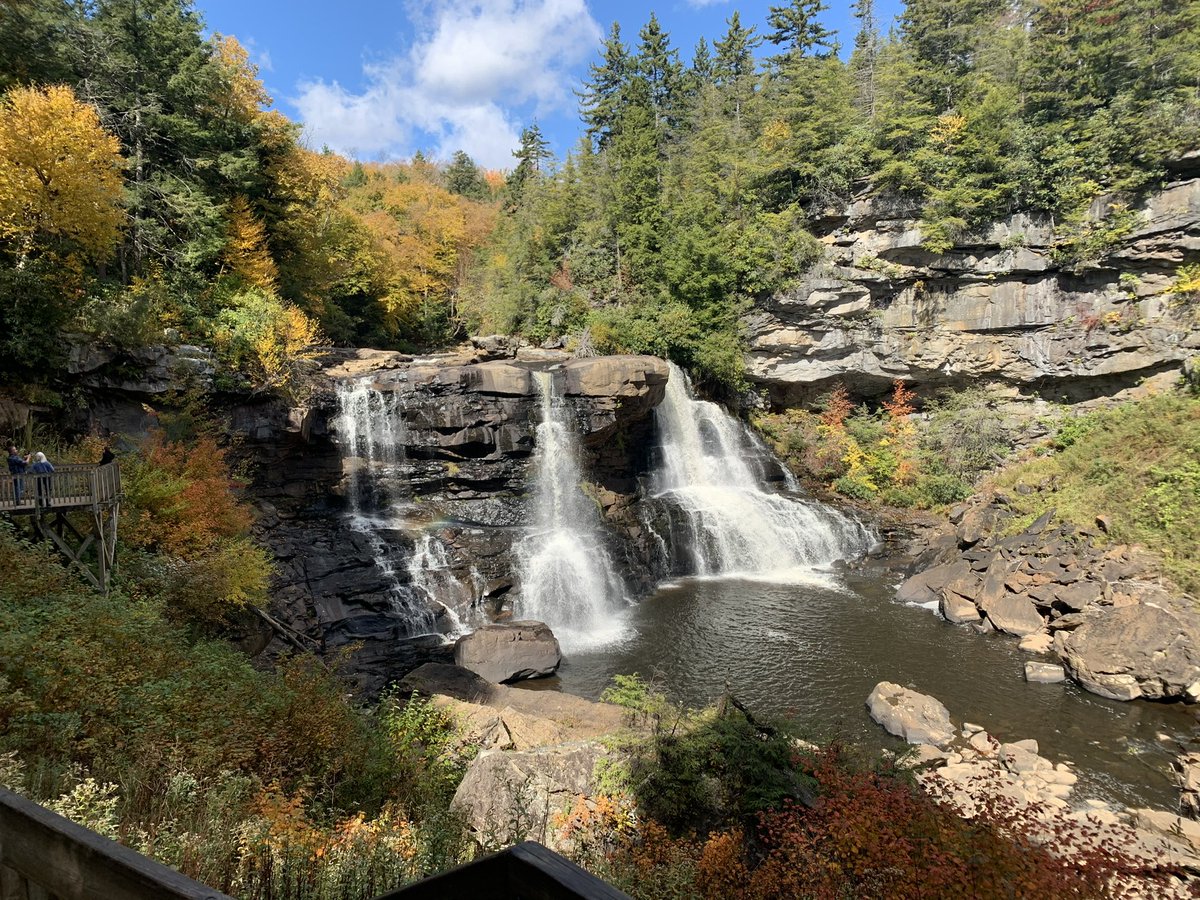 McKenzie tweet media