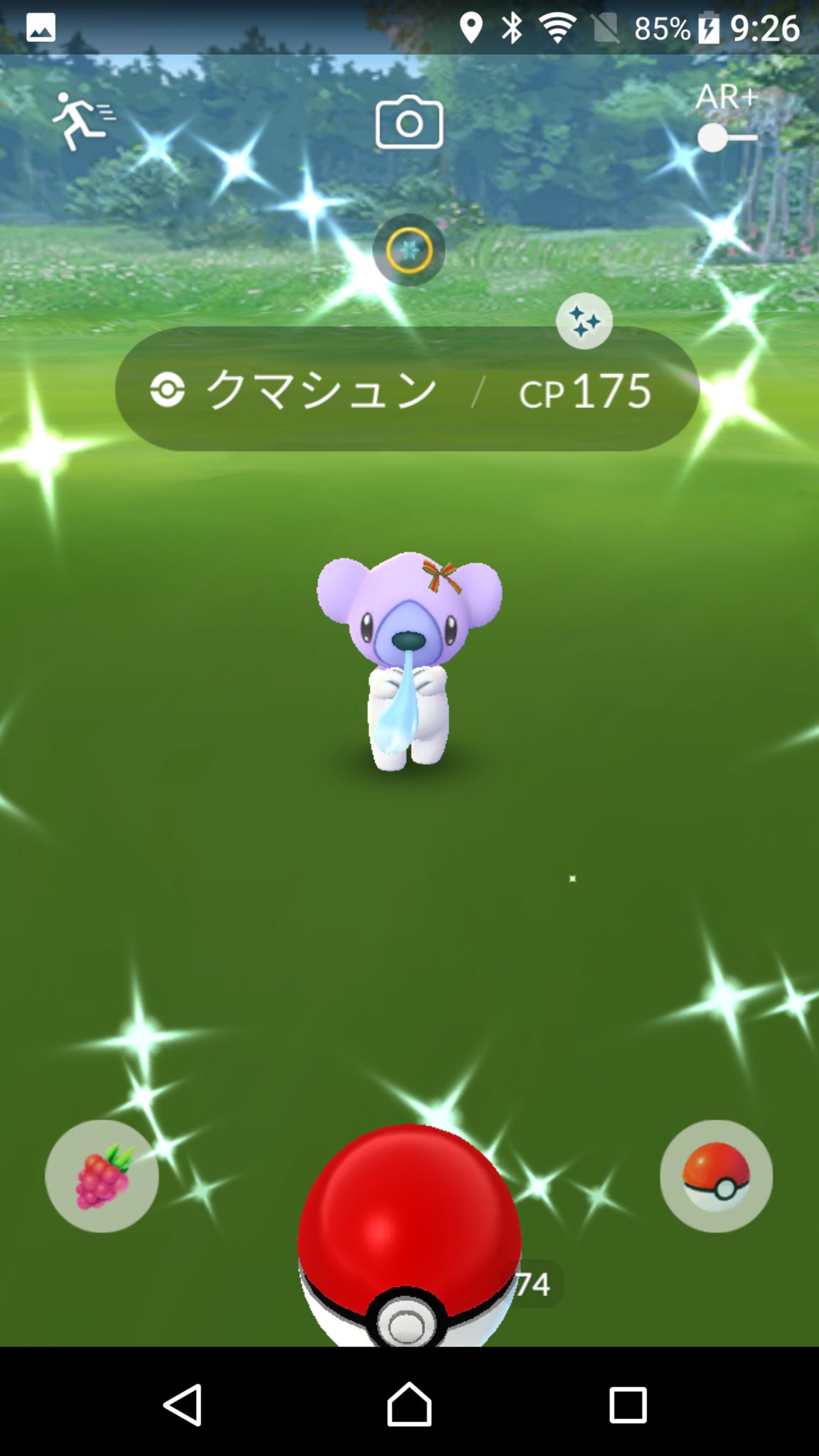 熊 Kumasan No Twitter