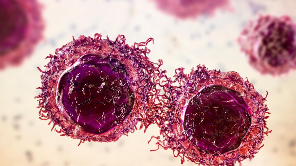 OfAdvances's tweet photo. Replication failures cast doubt on some cancer studies: https://t.co/UA2NnLuKHg 
#Alsb https://t.co/m1hiI8TahP