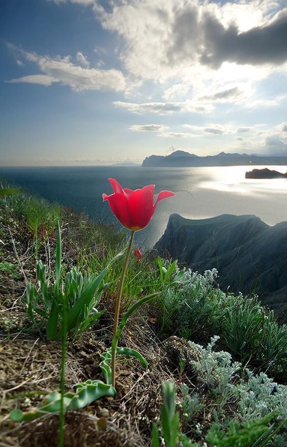 honky_tonk's tweet image. You are looking at the truth inside yourself.

あなたは、あなたの中の真実を見ています。
#projection #投影
RP @e_gkiouleka