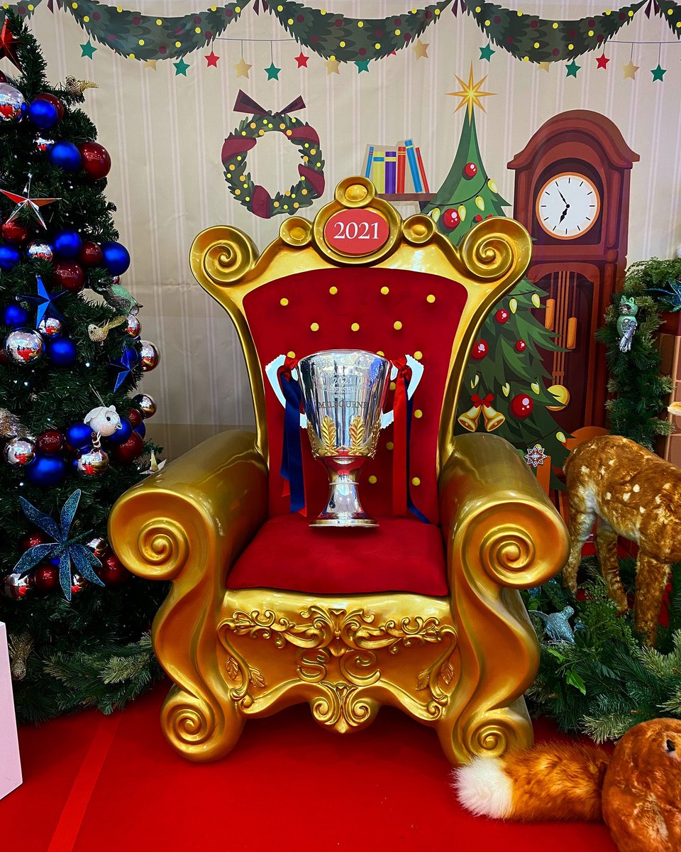 The Demons Premiership Cup 🏆 tweet media