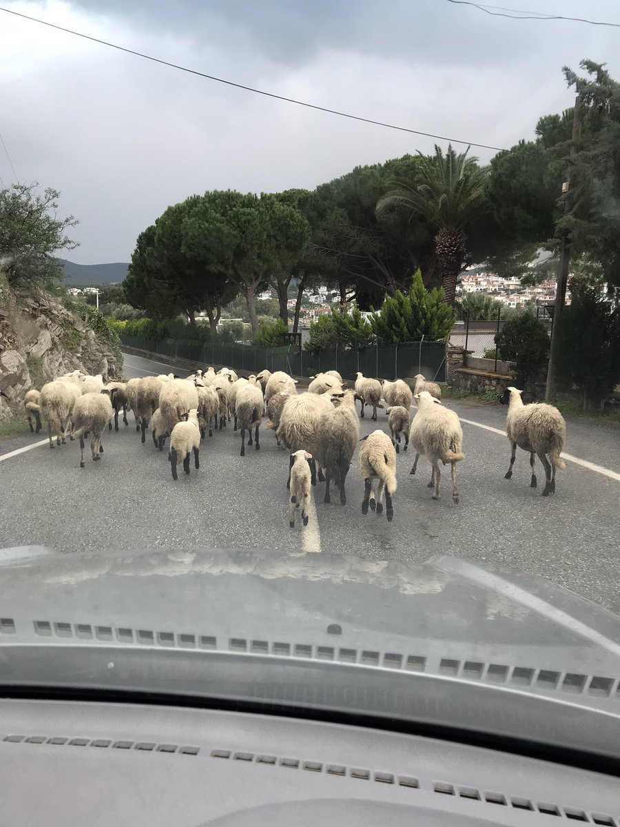fth18093138's tweet photo. Günaydın arkadaşlar 🐑☕️☁️🥶 https://t.co/US609hwjH9