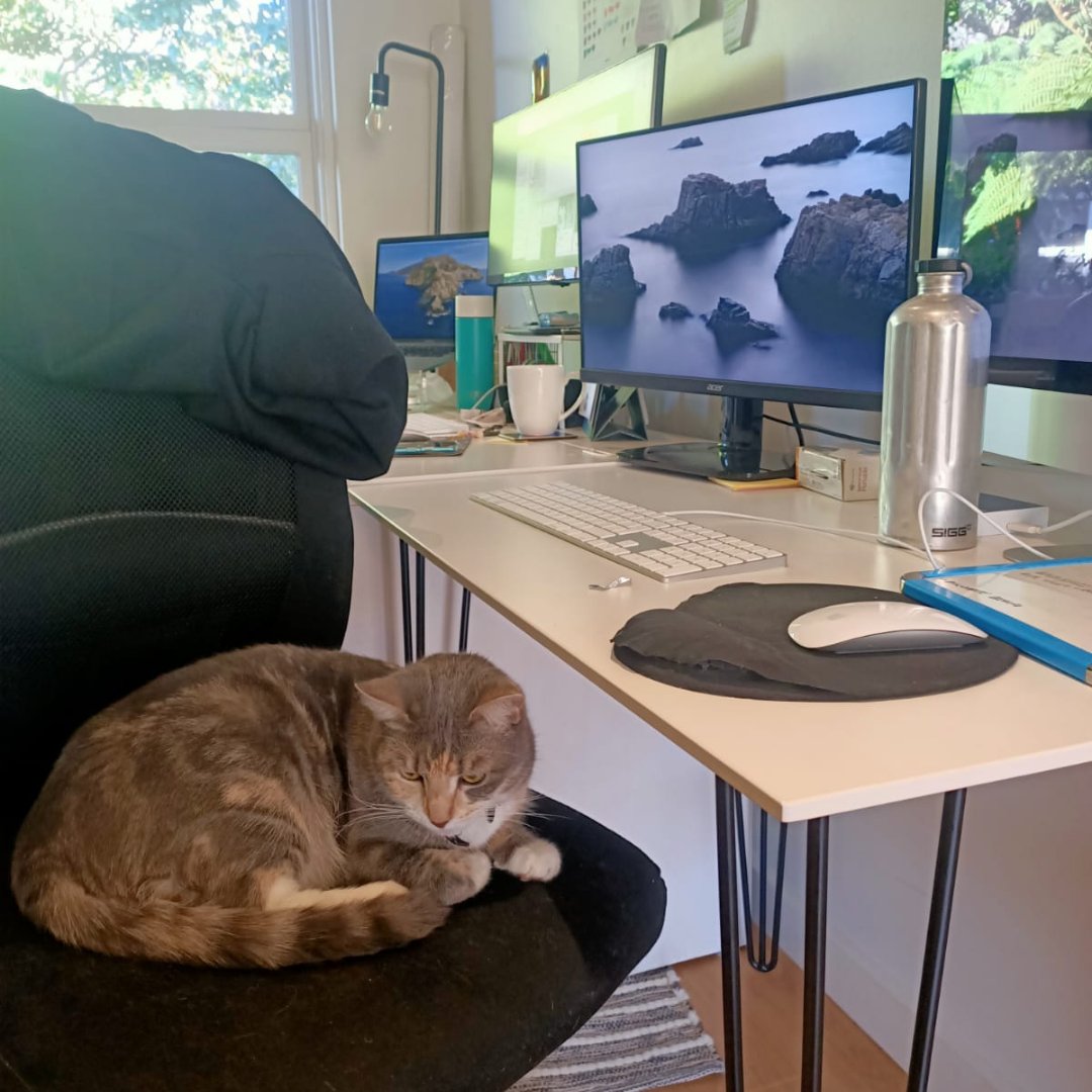 laundry_lane's tweet photo. We have had a very exciting (and hectic) year!  It's time to switch off and head out.
Our team is taking a well deserved break so we're out of our office for a few days for the holidays! 
#VideoWithHeart #videoproduction #productioncompany https://t.co/3TtCVvHx8X