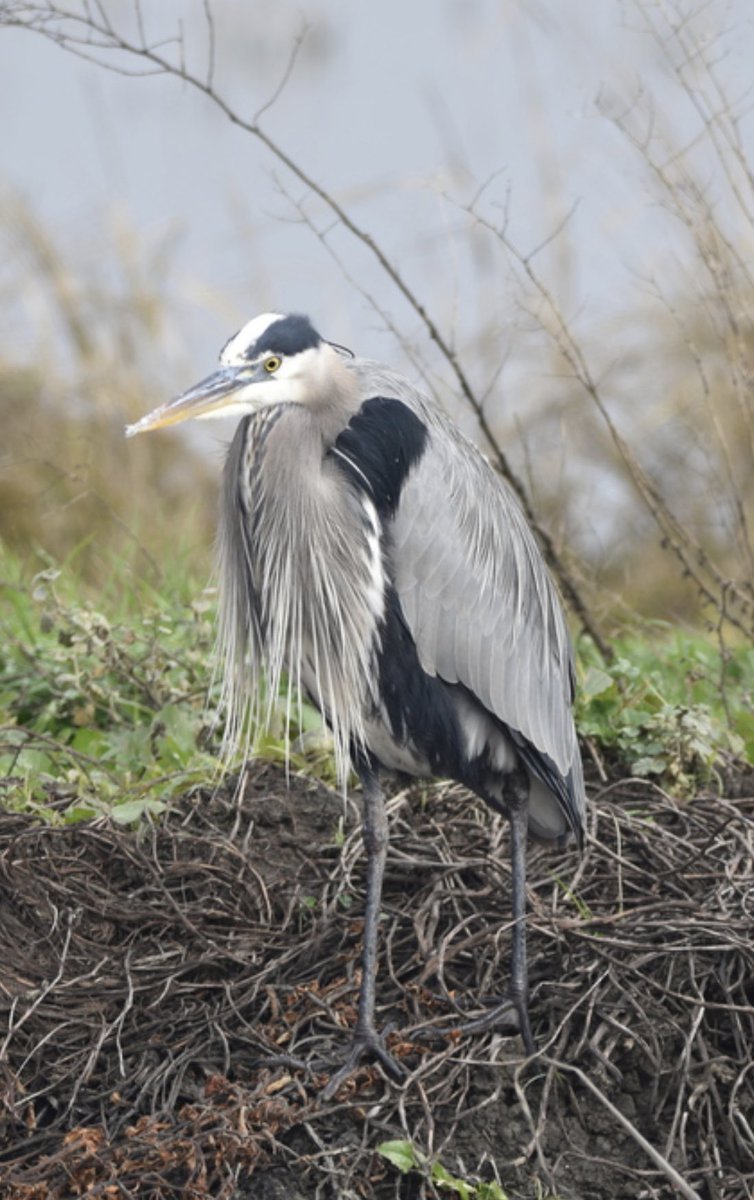 utopia4sharing's tweet image. 