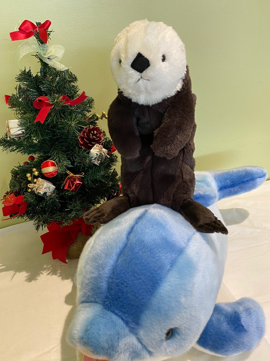 お待たせしましたーーー😆‼️‼️ オリジナルラッコぬいぐるみが入荷