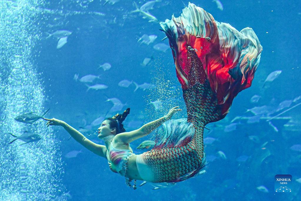 PDChinaLife's tweet image. Over 40 contestants participated in a mermaid contest in Sanya, south China's Hainan Province, which kicked off Tuesday.