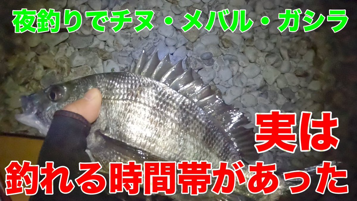 ガシラ釣り Twitter Search Twitter