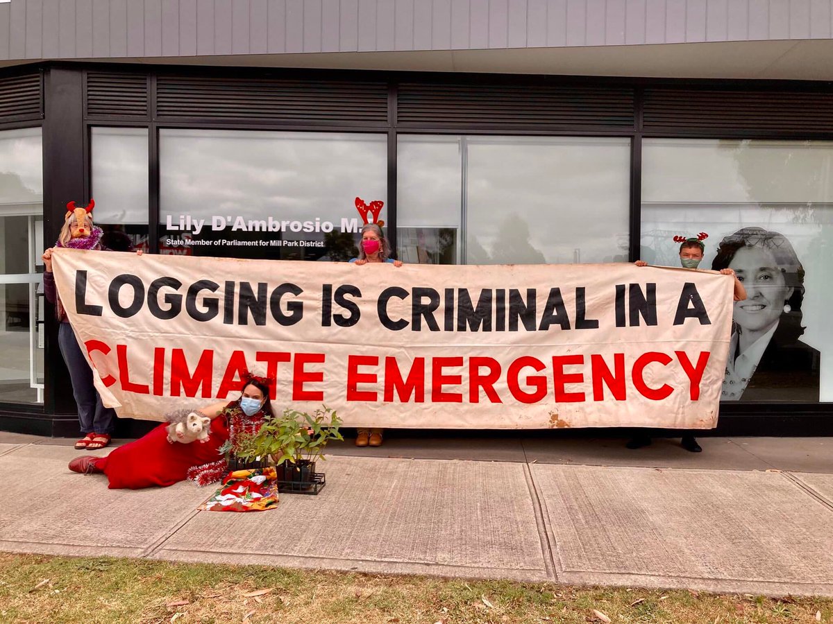 XR_Vic's tweet photo. How do you Lily D'Ambrosio MP sleep at night knowing that Greater Gliders are dying on your watch?
Stop Vic Forests logging of our precious forests!
#ExtinctionRebellion #VicForestsFail #ClimateJustice https://t.co/1ImEJVNYn6