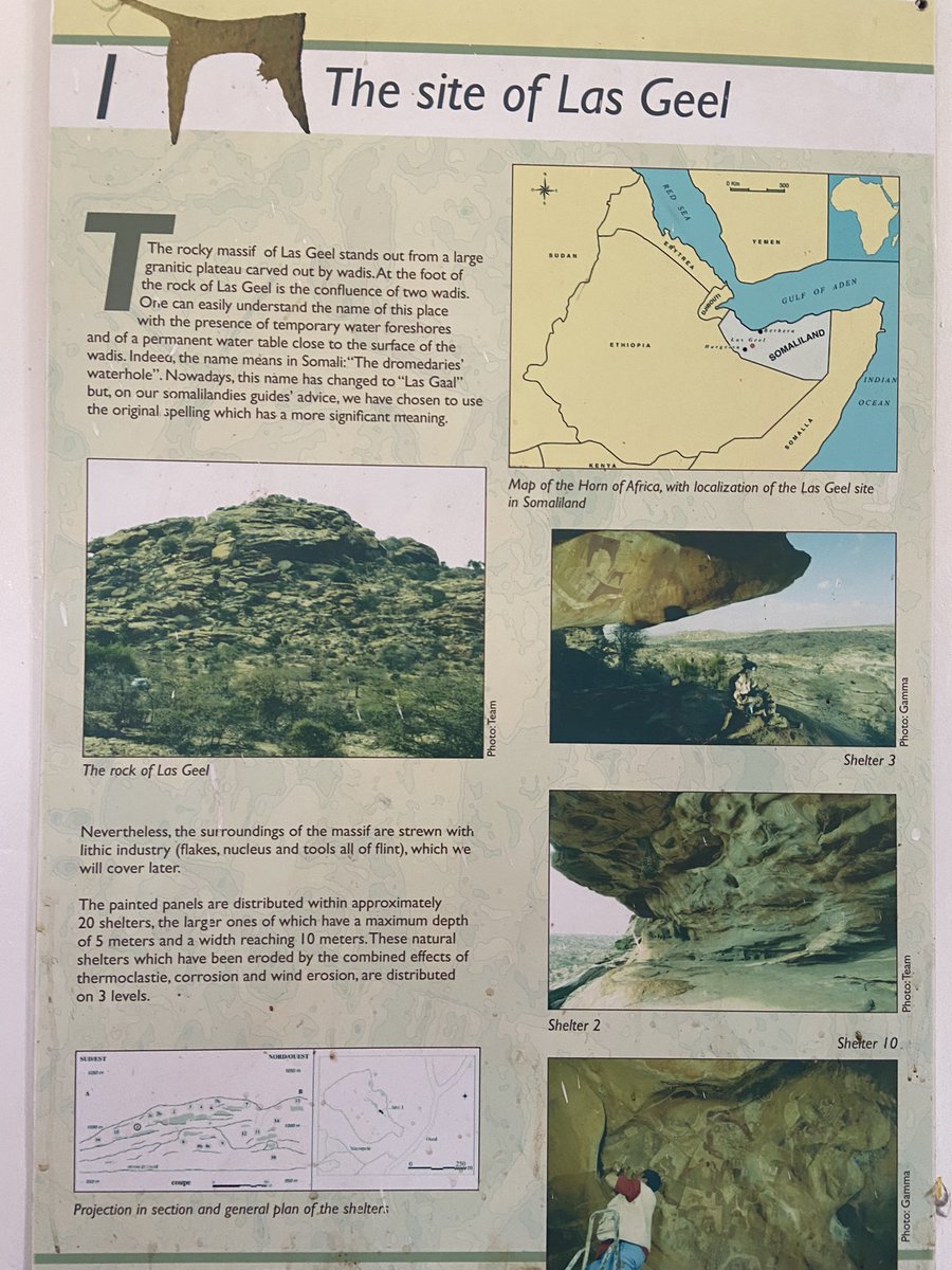 KaufmanR's tweet photo. #LasGeel is an extraordinary place in #Somaliland. It is a big area and has several sets of cave paintings dating from 18,000 to 20,000 years ago! Nearly all of it is perfectly preserved. Just amazing. https://t.co/I2wbbUIKZW