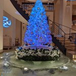 ツイートに含まれる画像