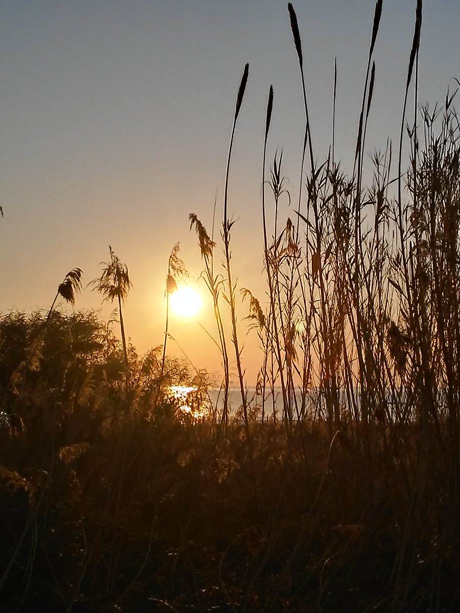 Fissare l'alba mi fa sognare e mi dà nuove idee, il sole risplende negli occhi e la luce risplende dentro di me. allora trovo ciò che possa illuminare anche gli altri una parola, una frase, un pensiero che possa lasciare impronte nel cuore
#VentagliDiParole 
<a href="/DavLucia/">lucia davi</a> <a href="/BlueCalb/">Madame Barbara</a>