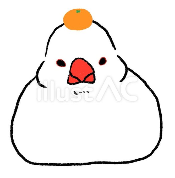 白文鳥のtwitterイラスト検索結果
