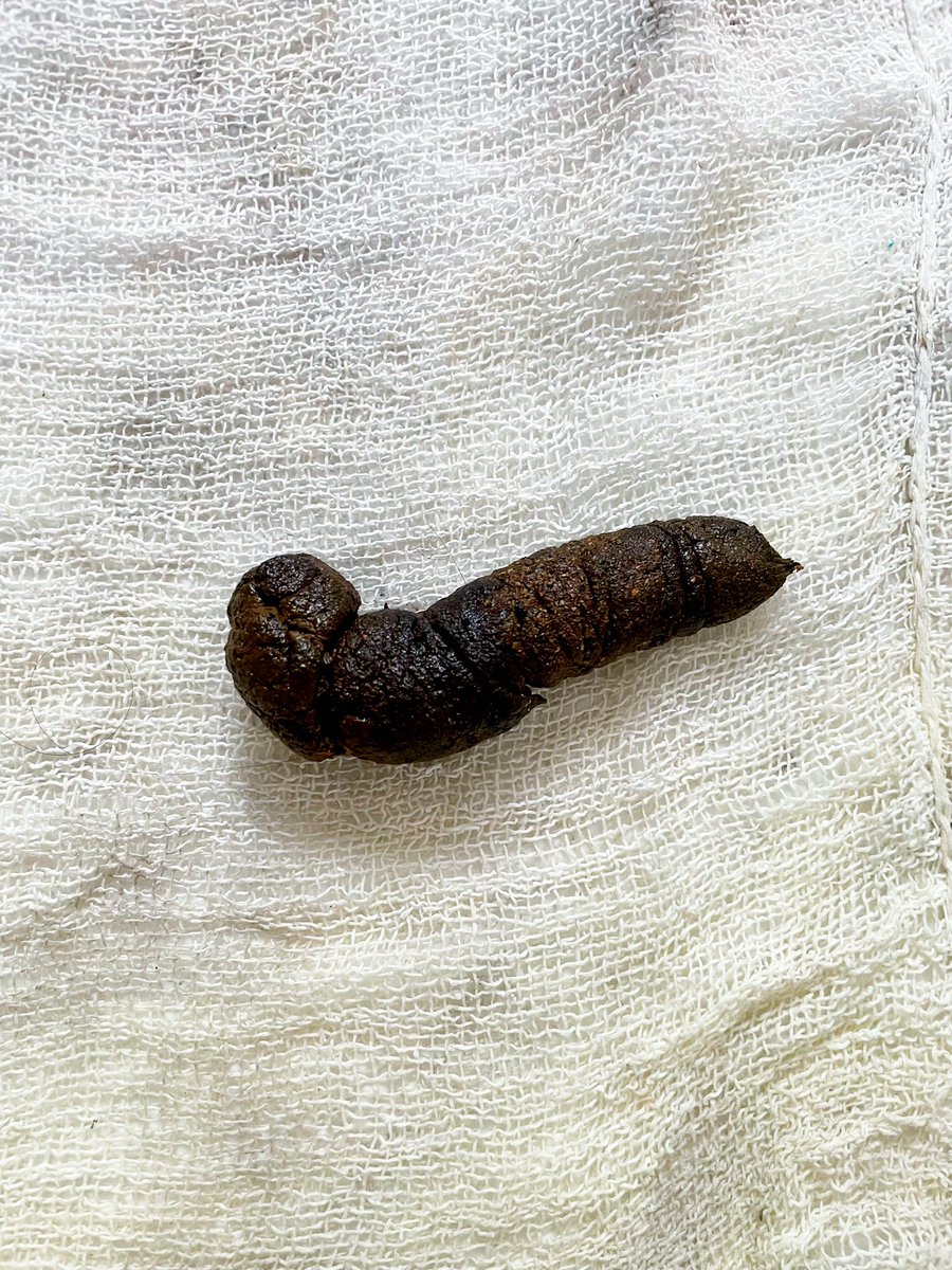 What u all think about my dog’s art guys? Should <a href="/Nike/">Nike</a> sponsor my dog with a NFT? Her name is Amora :)
 
#Nike #niketoc16 #TikTok #sponsor #nft #nftart #NFTCommunity #art #bitcoin #ETH #Ethereum #crypto #cryptocurrecy #DOGEorTesla #Dog