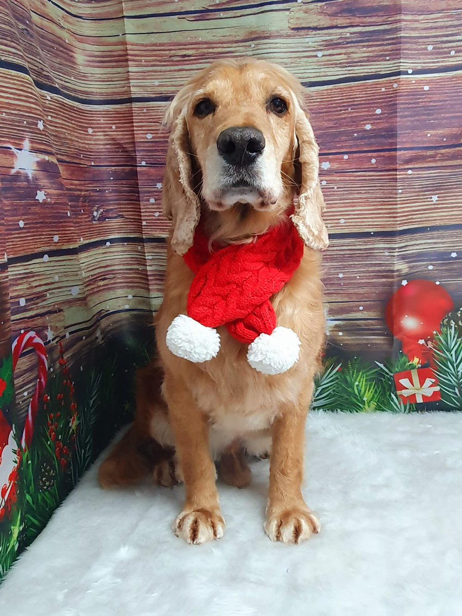 Emma Garrett DL tweet media