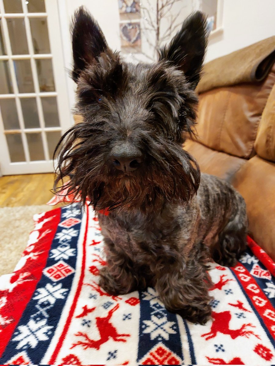 Morning pals! 🐾🤗