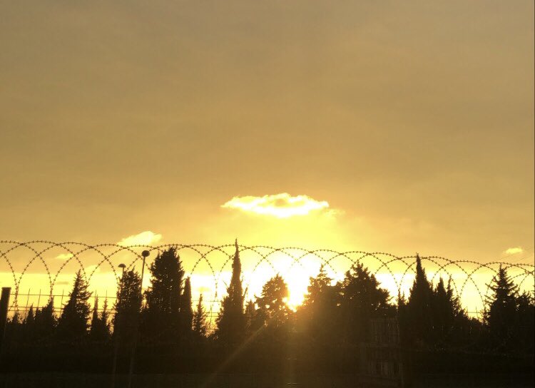 Beni yaratan, bana elbette yolumu gösterir.

Şuara/78
