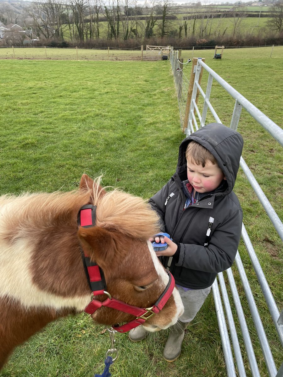 Claridge tweet media