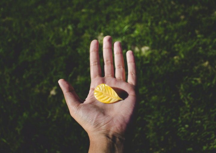 TechnologyOrg's tweet image. Semantic-Based Few-Shot Learning by Interactive Psychometric Testing - is.gd/6X7Ep9 - #ArXiv #DeepLearning #FewshotLearning #MachineLearning