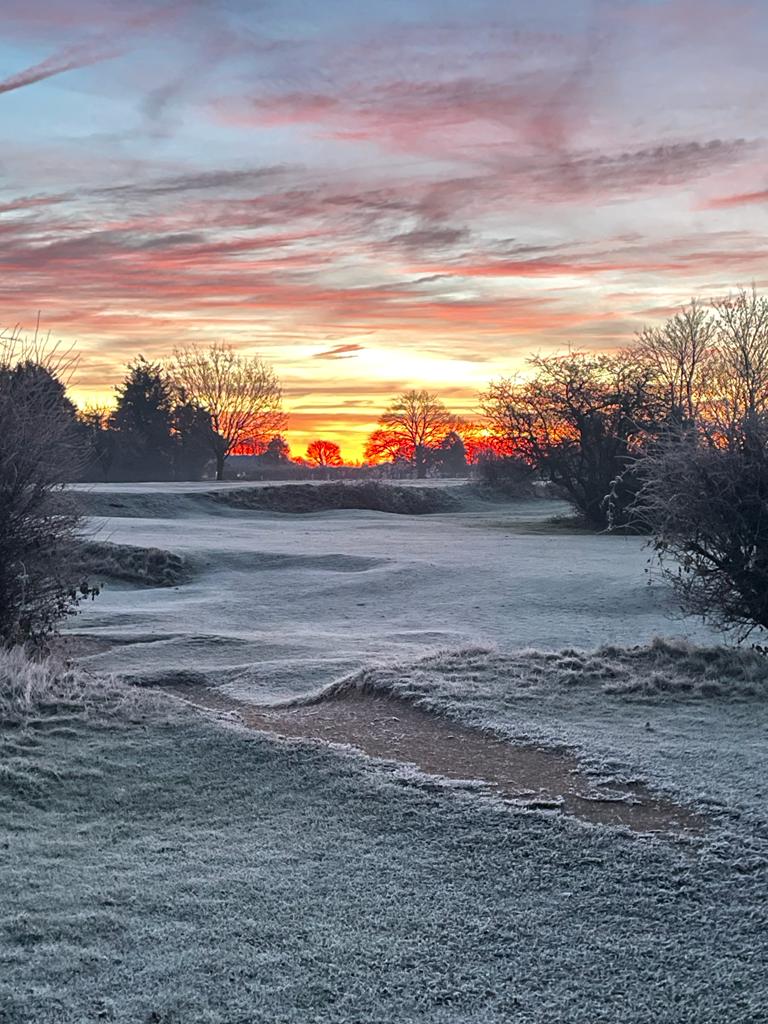 Martin_B1974's tweet photo. First real frost -3. https://t.co/sHdNiSIaQN