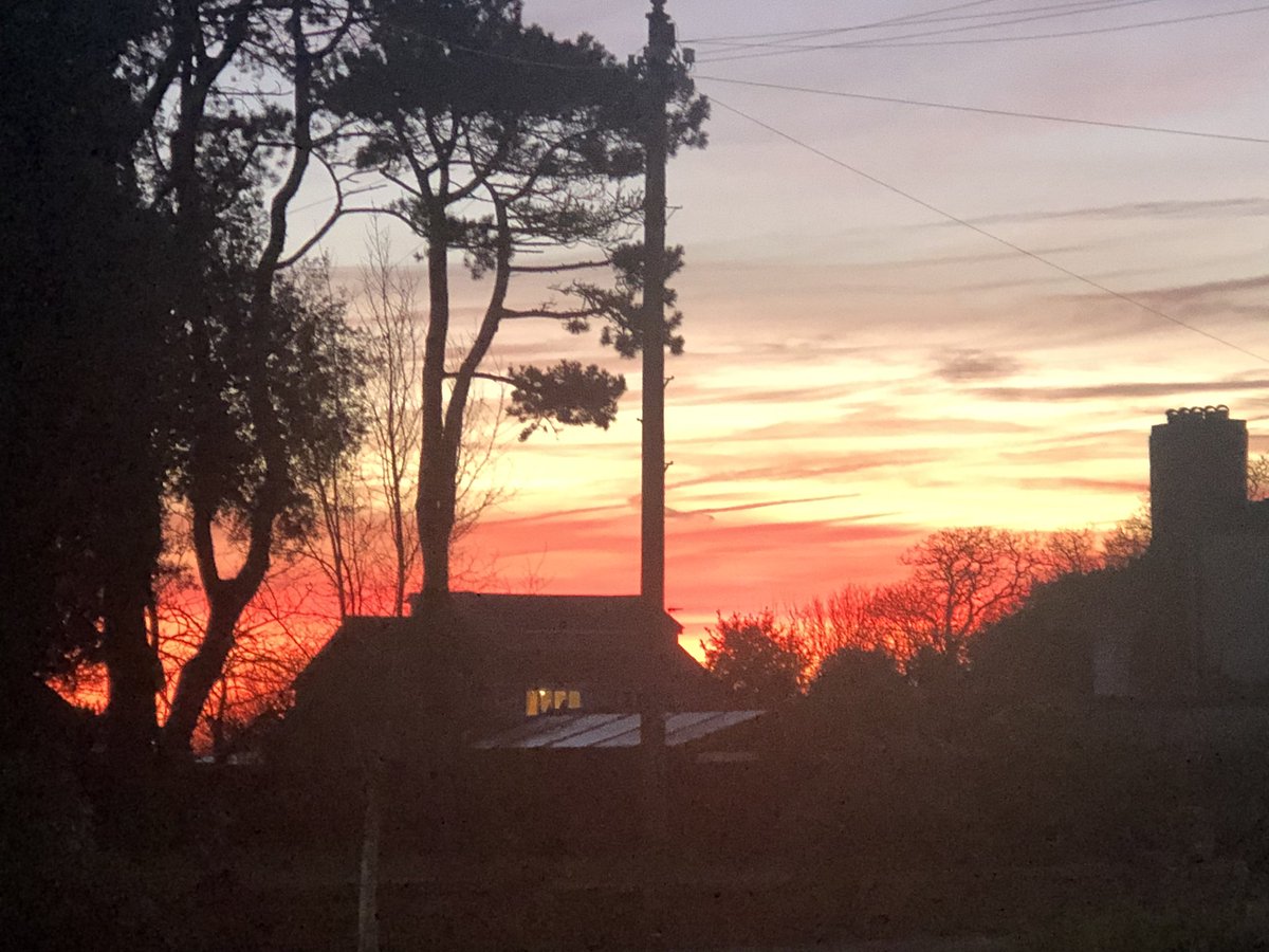 neilloveday's tweet photo. Wake up to this #sunrisecoast https://t.co/9iWGwgMwWQ