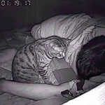 就寝時に息苦しさを感じた男性がカメラを設置したら？原因が判明する!