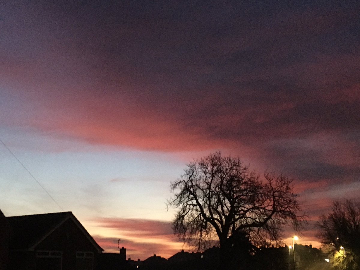 FloralRainbowAW's tweet photo. Pre #Dawn on a cold & frosty morning ❄️😃🧤#Dec22nd https://t.co/zvbfmOIKv8