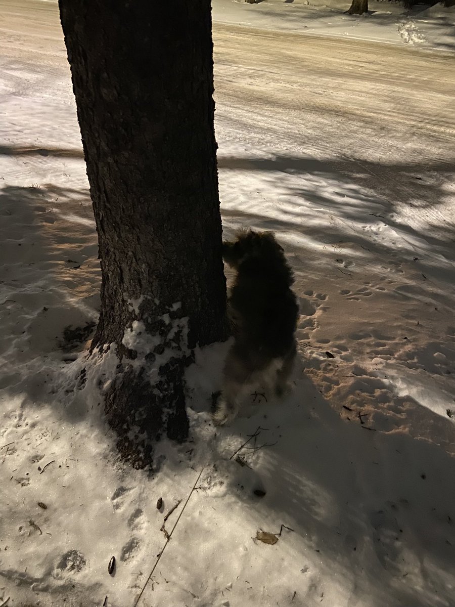 I’m getting so bad with taking pictures &amp; then never posting them! On Monday I enjoyed some late night outdoor time 💞 #CTTCSwell2021