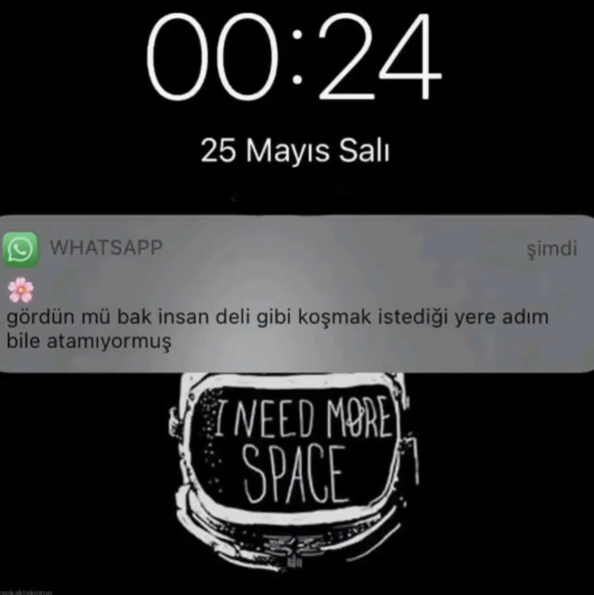sefaaozgn's tweet photo. https://t.co/PREcnZfiX3