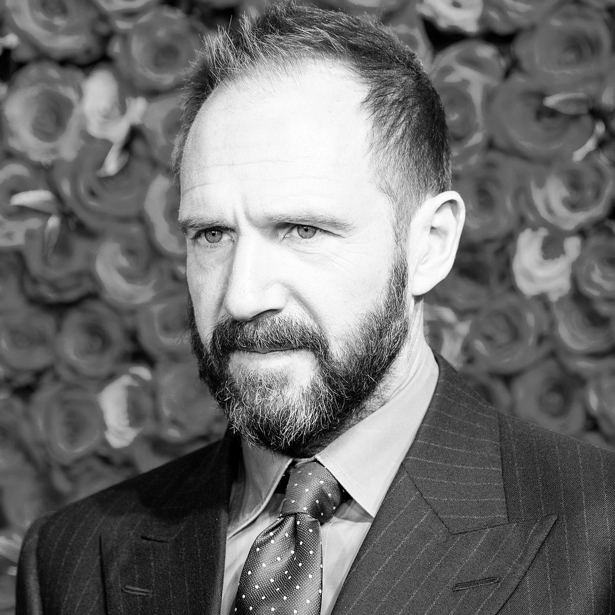 Happy birthday Ralph Fiennes 