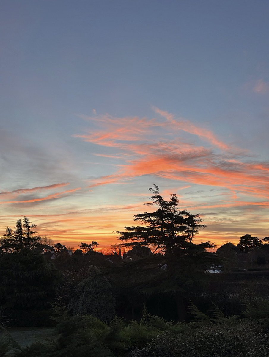 Not a bad start to the day ☺️ the beauty of being able to WFH anywhere!