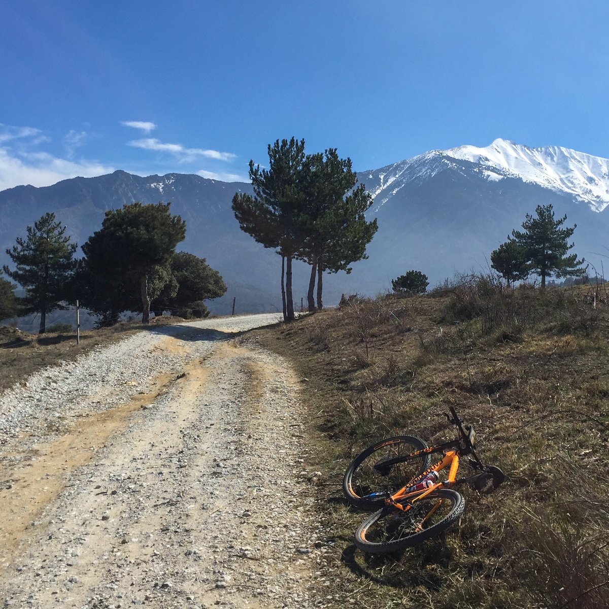bikeandruncoach's tweet photo. Whether you choose to rest or to train today, enjoy your holiday; are you going on a Christmas adventure? let us know - we'd love to know where you get to. #christmastraining #festive500 #endurancetraining https://t.co/5A5DLLTpom