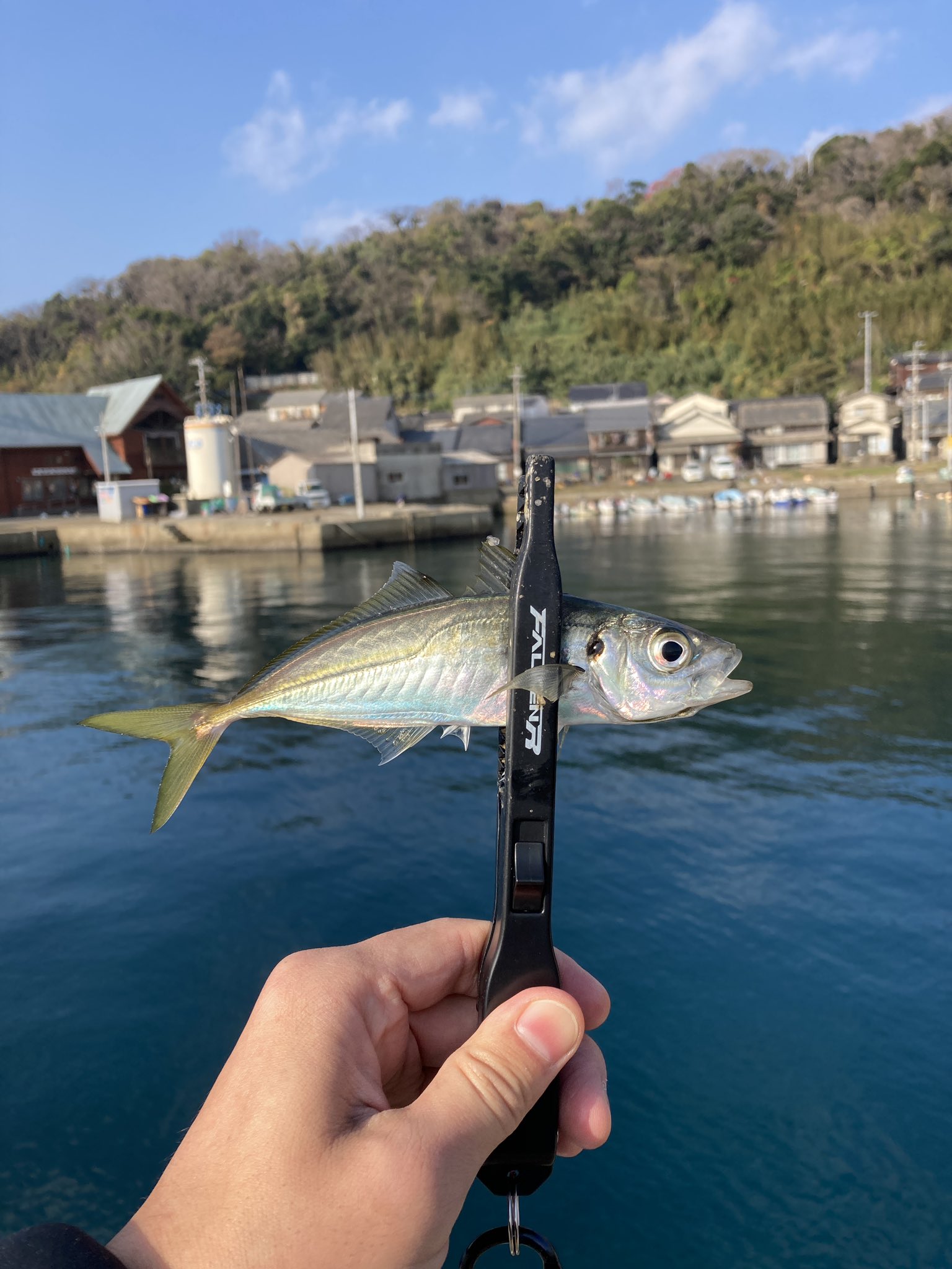 たつこばあ 福岡 Anglerfukuoka Twitter