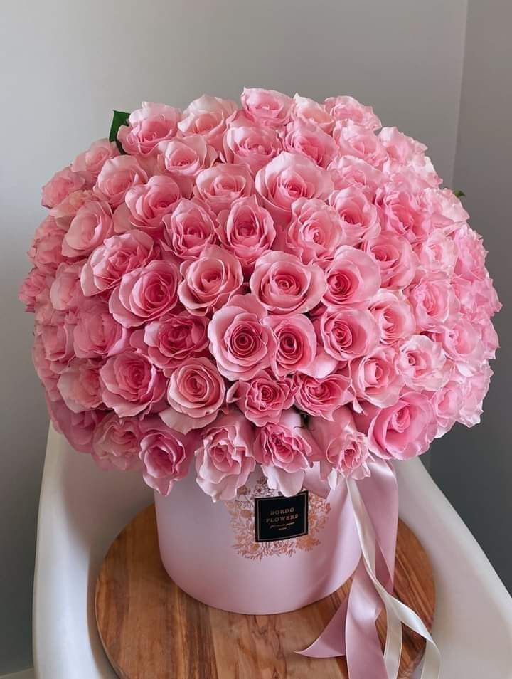 صباح الخير. اخواني وحبيبي