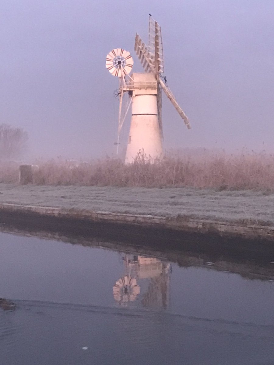 roger scot mitchell tweet media