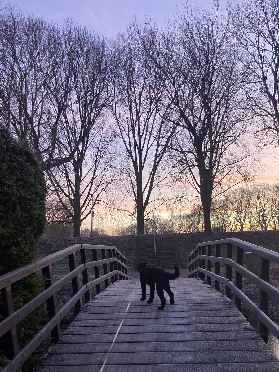 deetje03's tweet photo. https://t.co/wWskyQWFCn