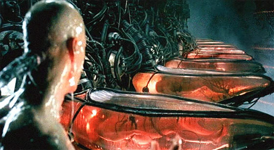 Last German tweet media