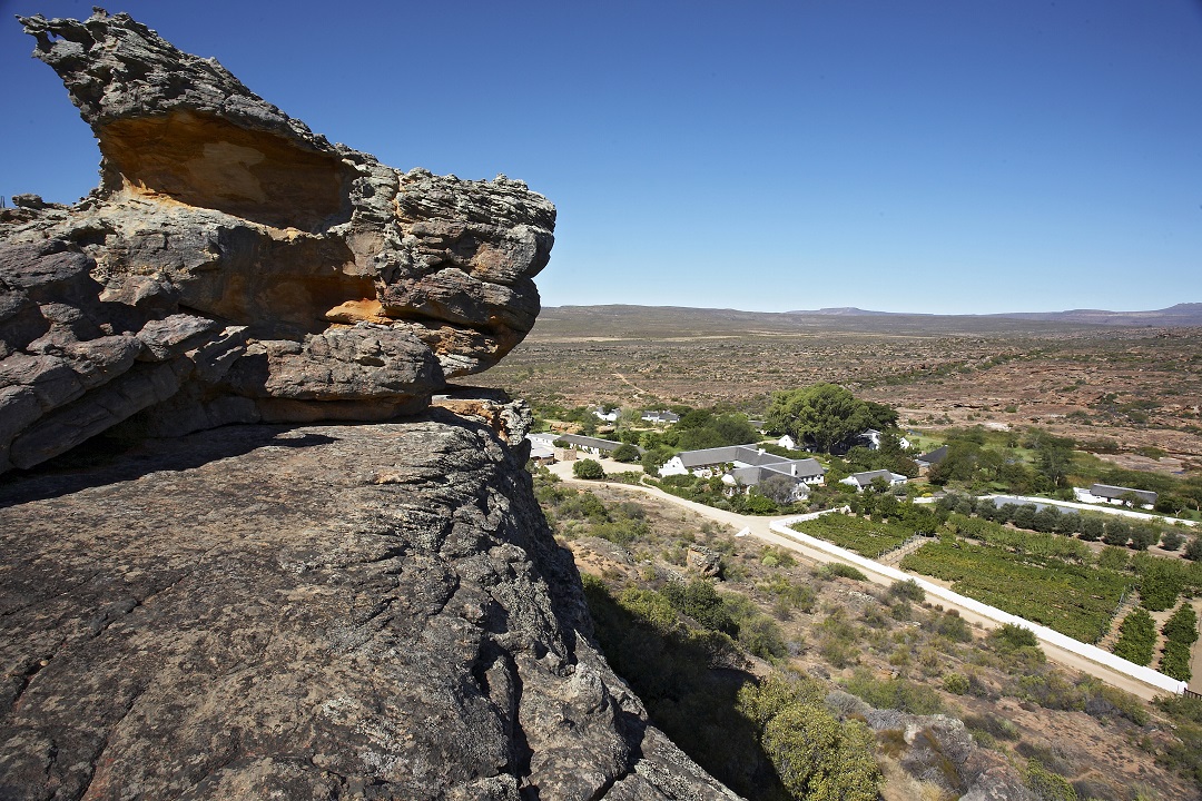 Bushmans Kloof is the home of authentic Cape cuisine. Our organic garden provides the kitchens with fresh, robust produce, while indigenous fynbos add a distinctly 'Cape' dimension to a fusion of innovative and traditional fare.
ow.ly/caGo50HcVNF
#BushmansKloof  #Cederberg
